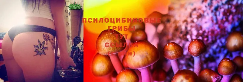 Псилоцибиновые грибы MAGIC MUSHROOMS Лермонтов